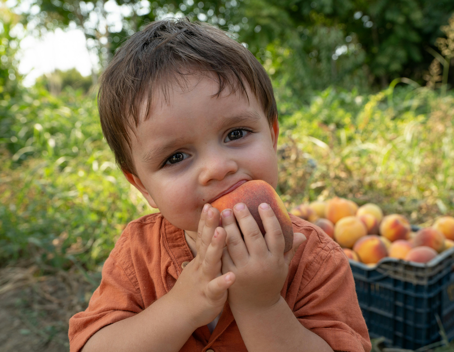 The 'Kids Snack' Box