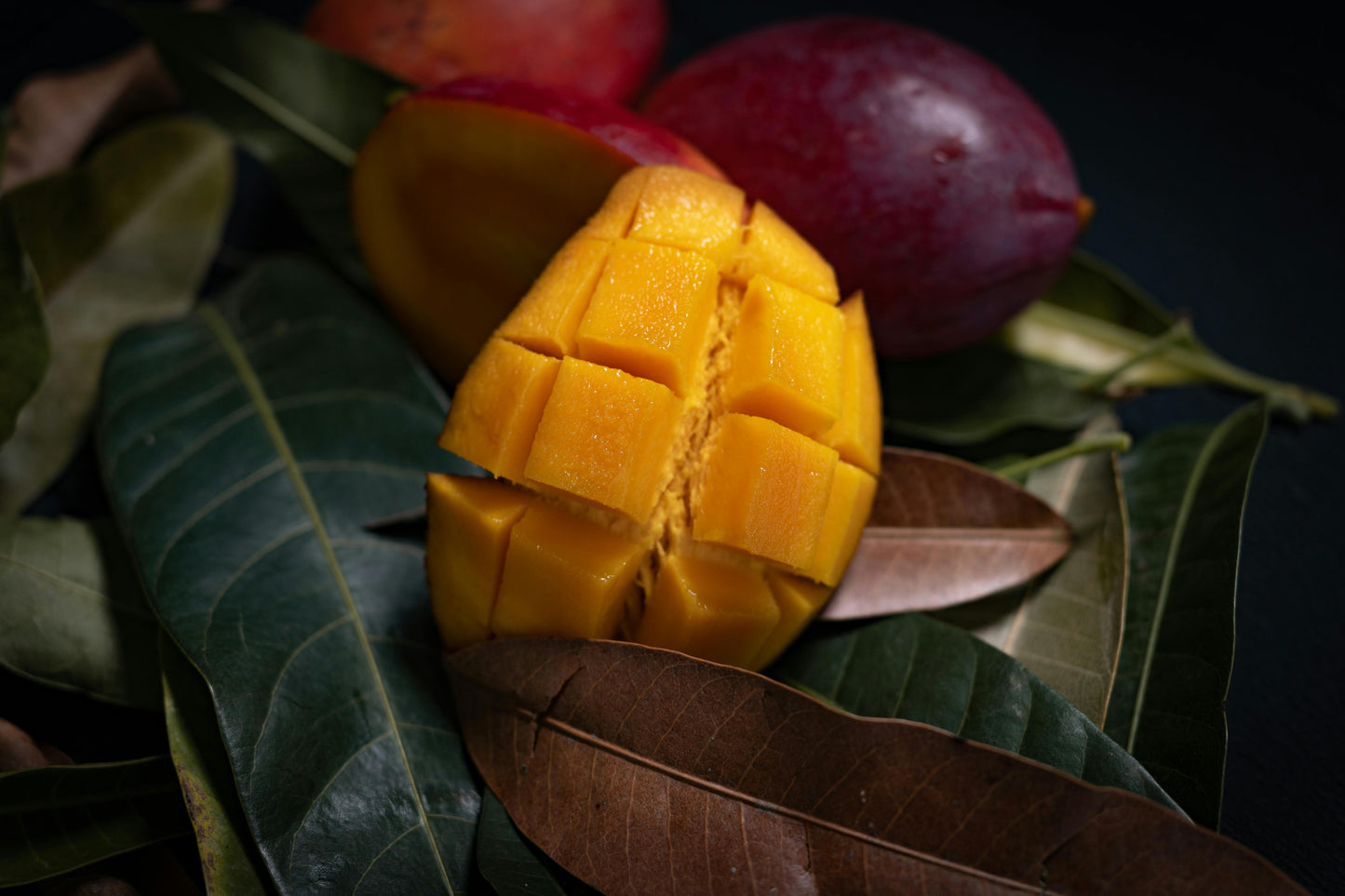 Mango