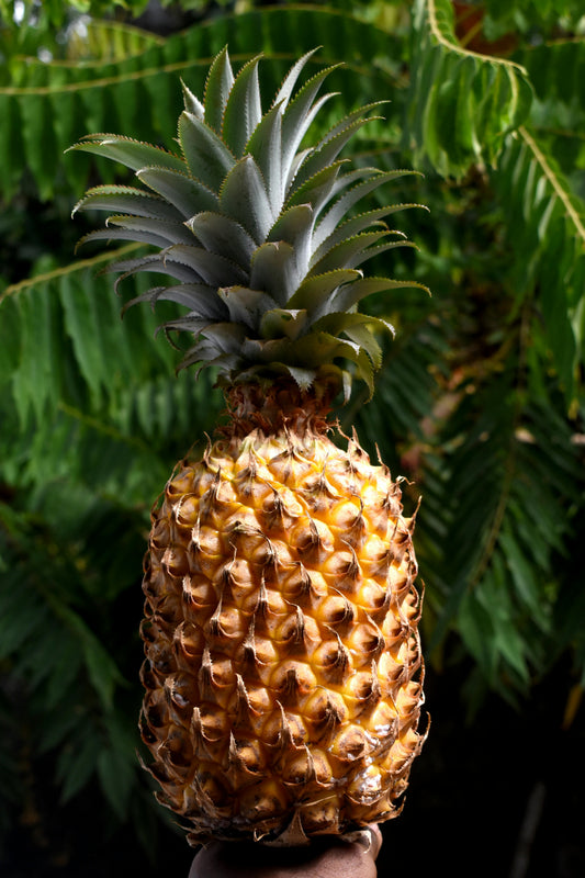Ananas